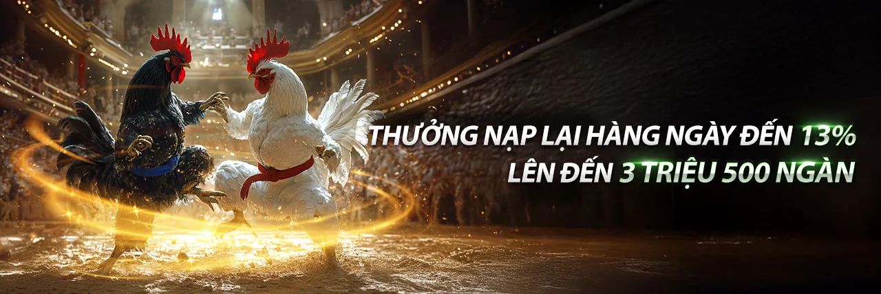 Hình ảnh đá gà hôm nay trận 22 tại SV288 Vietnam